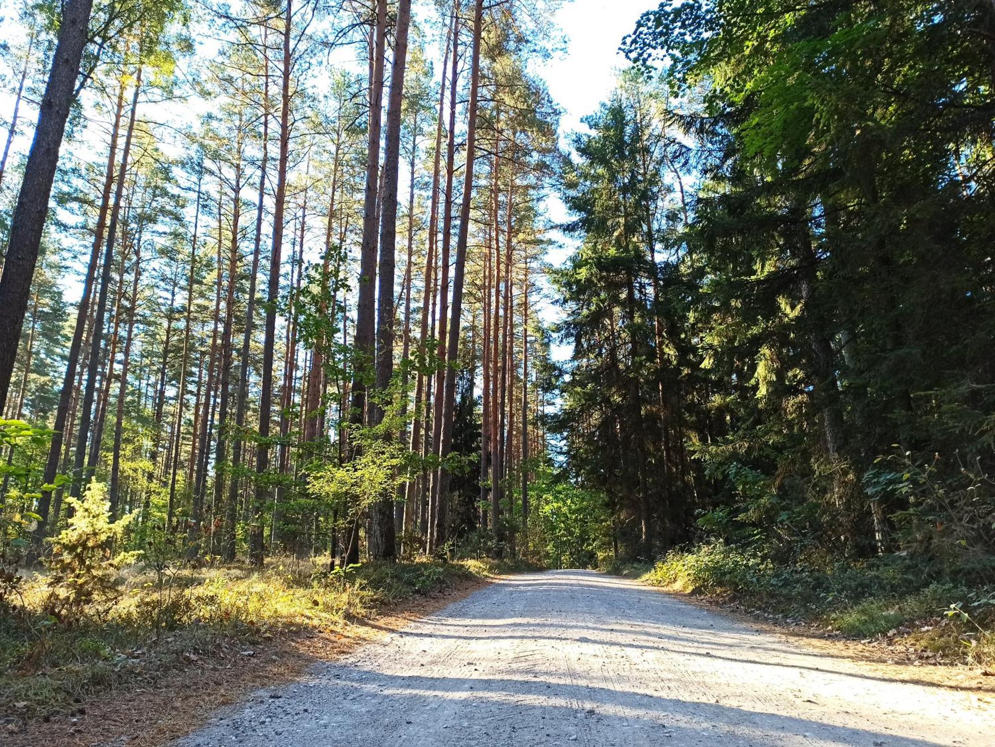 Mazurska Lesniczowka Nowy Zyzdroj Bed & Breakfast Екстериор снимка